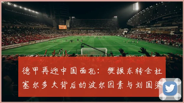 德甲再迎中国面孔：樊振东转会杜塞尔多夫背后的波尔因素与刘国梁的远见_德国_欧冠_年轻人